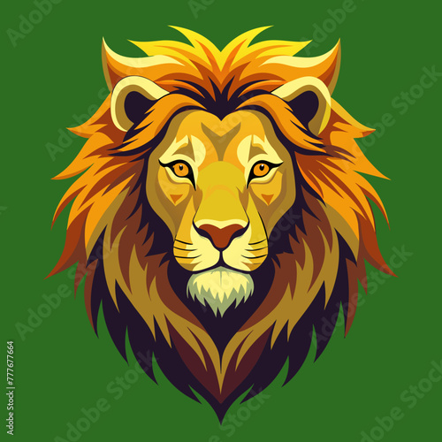 tiger, lion, vector, head, animal, tattoo, face,  © Usman