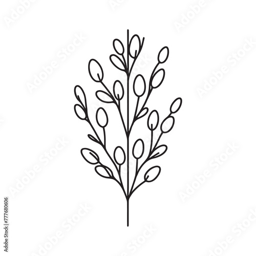 Willow plant drawing concept with one line. Continuous line drawing graphic vector illustration. fluffy plant, salix caprea.