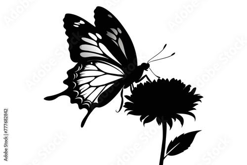 A butterfly delicately perches on the bud of a stunning chrysanthemum, showcasing photorealism with hyper-detailed precision