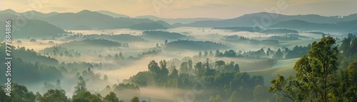 Misty valley at sunrise, gentle light, wide shot, layers of beauty , realistic image photo