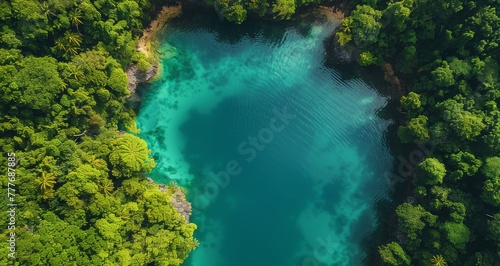 Tranquil Aerial View of Turquoise Lake Amidst Dense Forest.