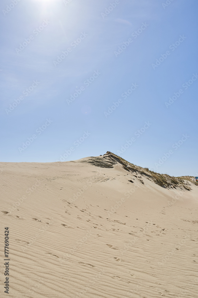 Lithuanian dunes sandy grass and clear sky Lithuanian dunes sandy grass and clear sky