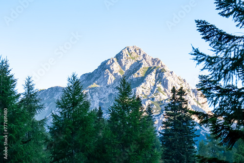 Scenic view of majestic mountain peak Vertatscha (Vrtaca) in untamed Karawanks, border Slovenia Austria. Looking through lush forest. Hiking wanderlust in wilderness of Slovenian Alps in summer photo