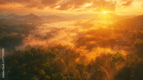Golden sunrise over misty forest hills, birds-eye view, warm and vibrant colors, high clarity. Midnight mountain under starry sky, silhouette of peaks, wide angle, cold tones, crystal clear stars. © Noppakun