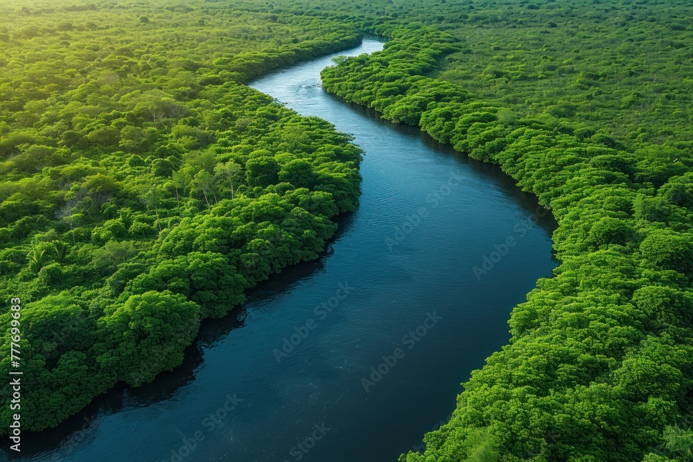 Aerial view of a winding river through a lush forest, showcasing breathtaking natural landscapes, for environmental themes Aerial view of a winding river through a lush forest, showcasing breathtaking natural landscapes, for environmental themes