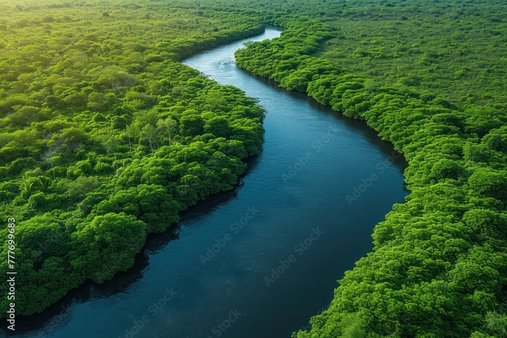 Aerial view of a winding river through a lush forest, showcasing breathtaking natural landscapes, for environmental themes