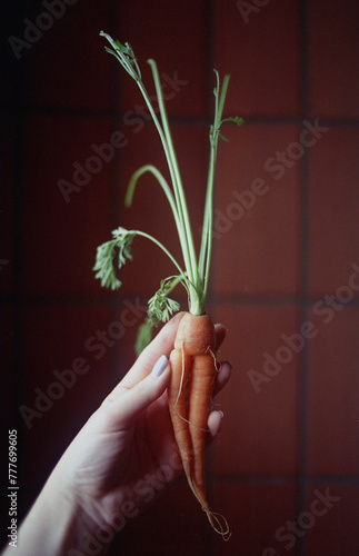 Carrot body photo