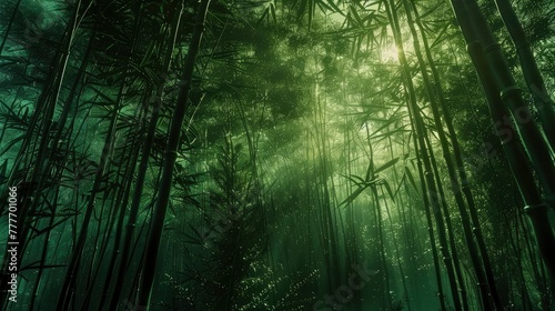 A dense bamboo forest  with the sun filtering through the tall  slender stalks  creating patterns of light and shadow. The perspective leads the viewer s eye deep into the forest