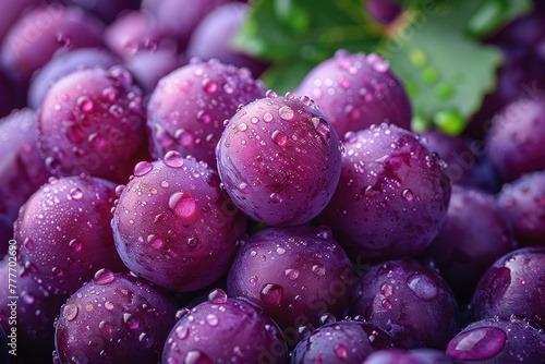 Wallpaper Mural Cluster of grapes with water droplets Torontodigital.ca