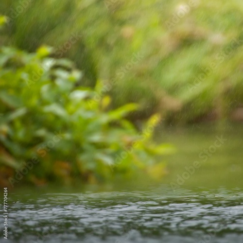 Serenity in Blur: Natural Background of Water and Foliage