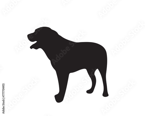 Dog silhouette vector collection on white background. Dog art work vector illustration. © Creative Designer