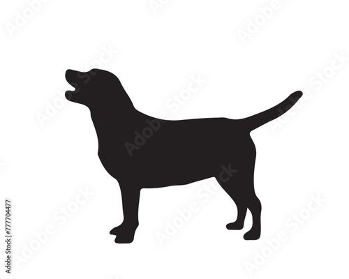 Dog silhouette vector collection on white background. Dog art work vector illustration.