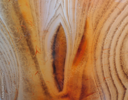 red lace agate detail texture photo