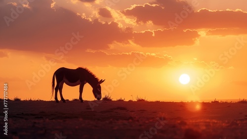 Silhouette of lone wildebeest grazing at sunset with vibrant orange sky and sun near horizon
