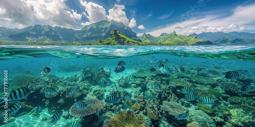 Underwater View of Coral Reef With Small Island