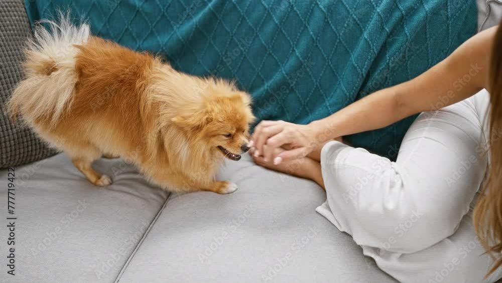Heartwarming indoor portrait of a young hispanic woman playfully bonding with her lovable dog, lying on a sofa in her cozy living room at home, radiating happiness and touch of affection. Heartwarming indoor portrait of a young hispanic woman playfully bonding with her lovable dog, lying on a sofa in her cozy living room at home, radiating happiness and touch of affection.