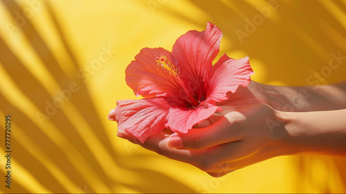 Bright red hibiscus in hand against yellow background