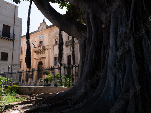 ll palazzo comunale di Castellammare del Golfo visto dal parco pubblico photo