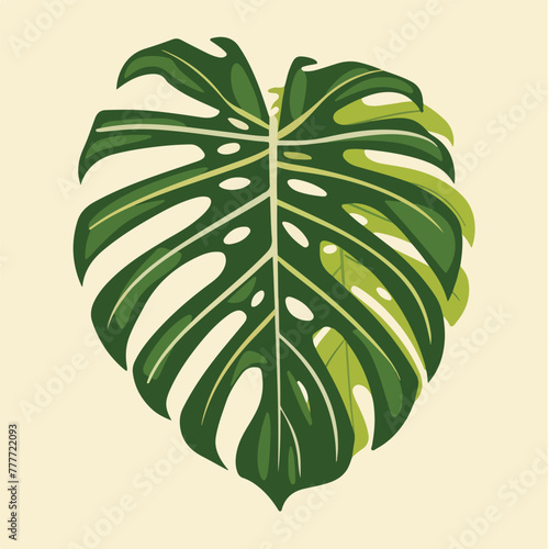 vector monstera leaf svg