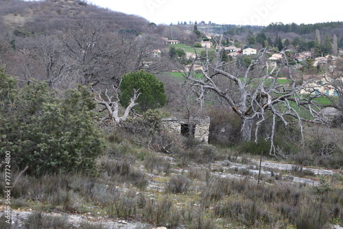 paysage de Haute Provence photo