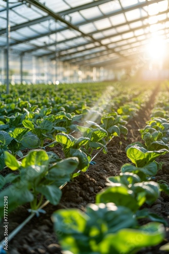 greenhouse with seedlings of herbs and vegetables Generative AI