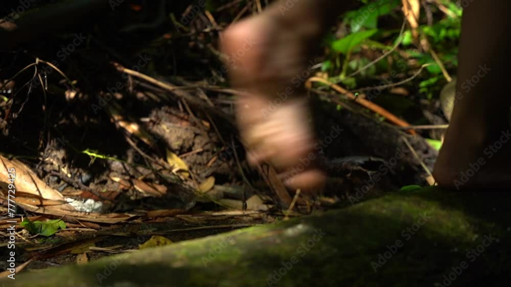 Female walking on woods in jungle, in Bali, Indonesia and many bushes in the background Female walking on woods in jungle, in Bali, Indonesia and many bushes in the background