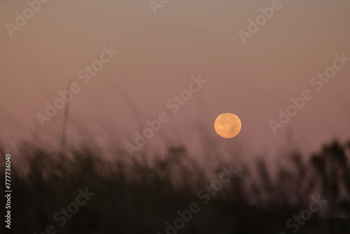 Full Moon Pastel Color and Sky Copyspace photo