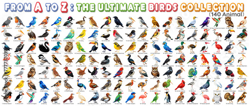 Set of birds collection arranged in alphabetical order from A to Z, Perfect for design and education and kids content. photo