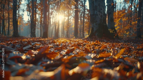 The golden hues of an autumn forest  with leaves in varying shades of orange  red  and yellow. The scene captures the seasonal change in full swing  with a carpet of fallen leaves covering the ground 