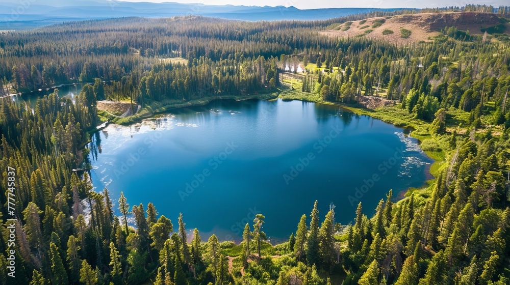 Circular lake from a bird's eye view. Surrounding pine forest evokes earth's image.