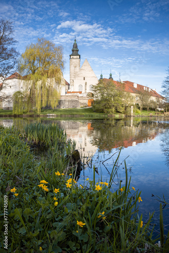 Buttercup flowers by the lake with buildings of Telc town on background, Czechia, Europe
