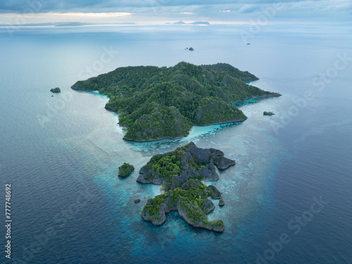 The scenic limestone islands of Penemu, fringed by reef, rise from Raja Ampat's tropical seascape. This part of Indonesia is known as the heart of the Coral Triangle due its high marine biodiversity.