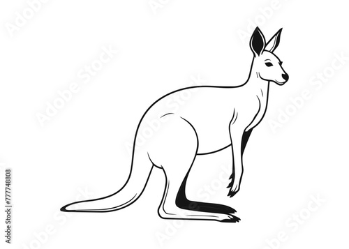 kangaroo line art vector illustration