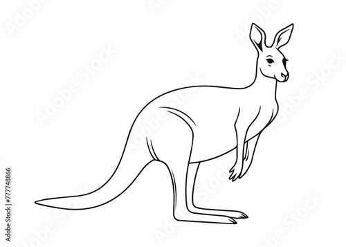 kangaroo line art vector illustration