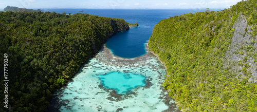 The scenic limestone islands of Penemu, fringed by reef, rise from Raja Ampat's tropical seascape. This part of Indonesia is known as the heart of the Coral Triangle due its high marine biodiversity. © ead72