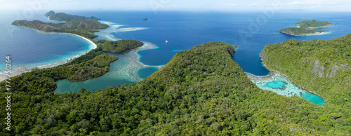 The scenic limestone islands of Penemu, fringed by reef, rise from Raja Ampat's tropical seascape. This part of Indonesia is known as the heart of the Coral Triangle due its high marine biodiversity. © ead72