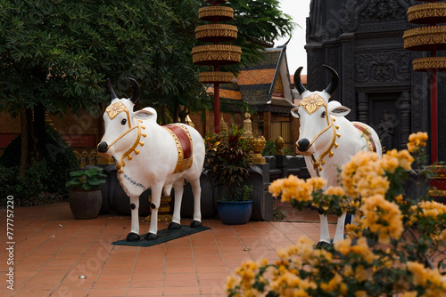 Temple in Cambodia photo