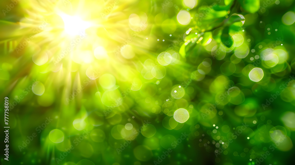 green fresh leaves framing text space green fresh leaves framing text space