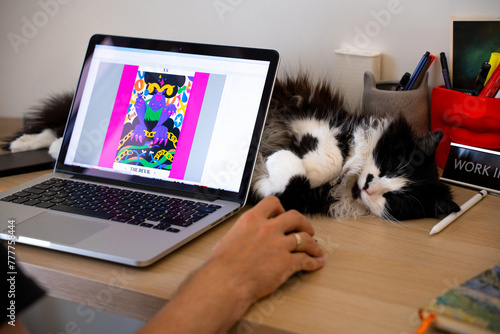 Cat napping at home workspace, freelancer create digital illustration photo