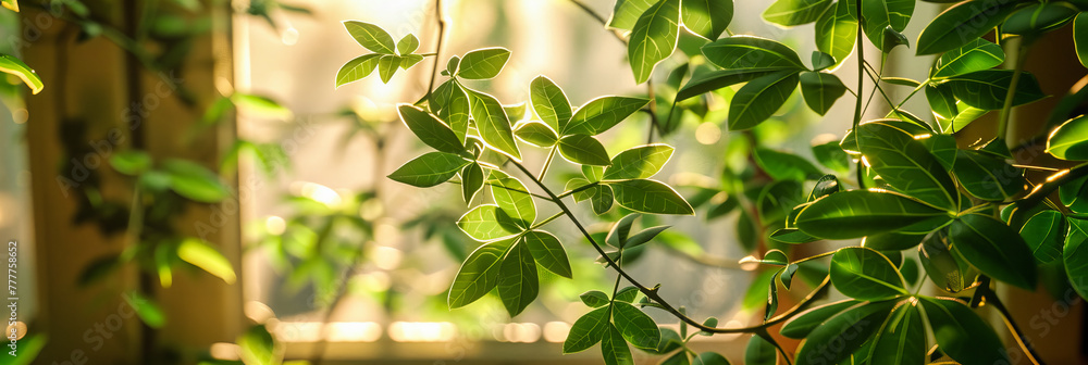Fresh Green Leaves Bathed in Sunlight, Symbol of Growth and Spring, Bright and Natural Background Fresh Green Leaves Bathed in Sunlight, Symbol of Growth and Spring, Bright and Natural Background