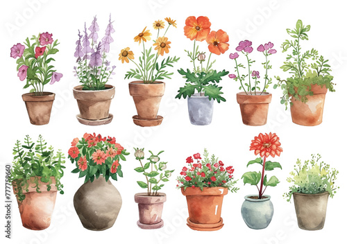 Set of watercolor painting spring or summer flowers and leaves branch in pot garden plants vector illustration
