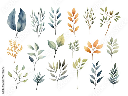 Collection of green watercolor foliage plants clipart on white background. Botanical spring summer leaves illustration. Suitable for wedding invitations, greeting cards, frames and bouquets.