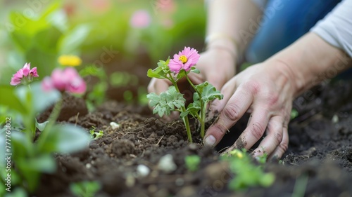 Close-up of hands planting young flower in soil with blossoms background