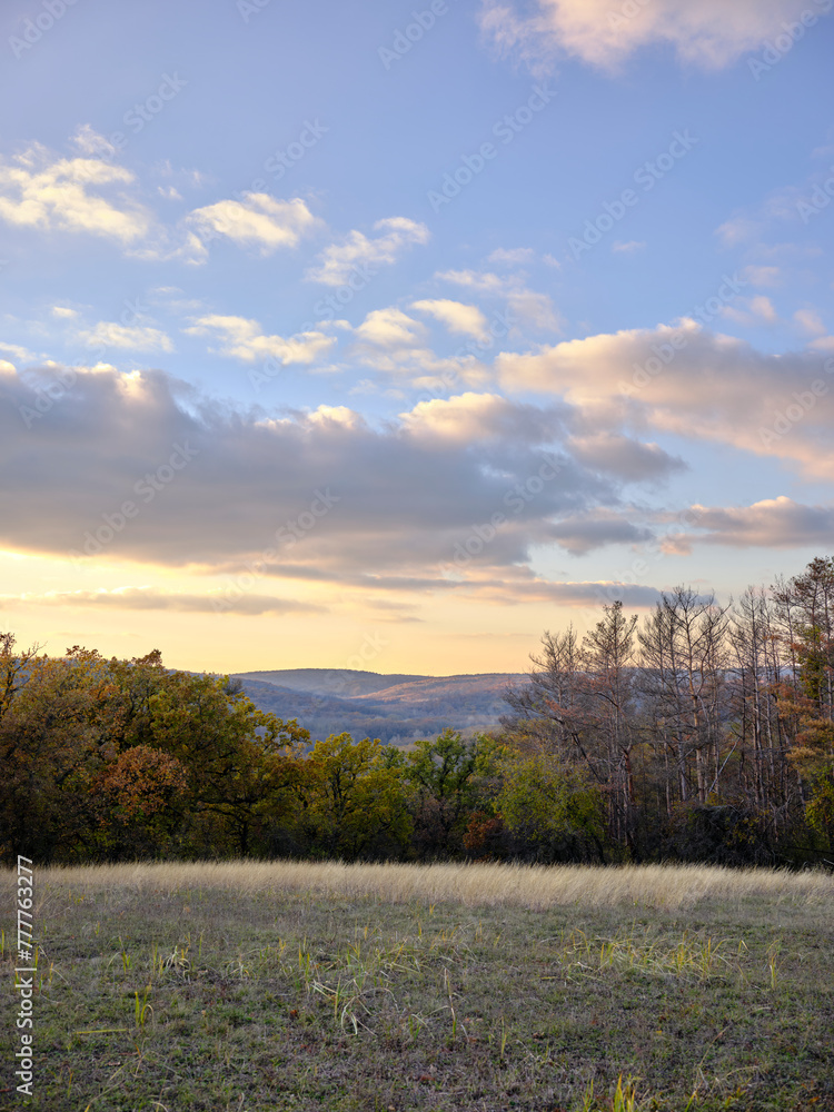 autumn landscape with forest at sunset autumn landscape with forest at sunset