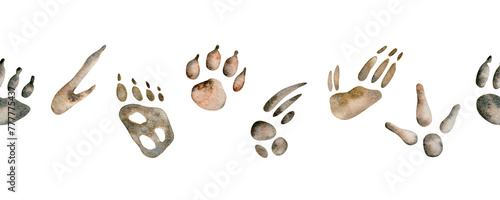 Photography Emu and kangaroo footprints