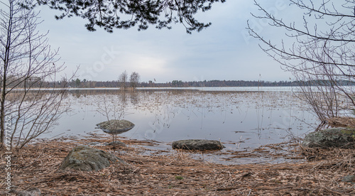 Panoramic view on the lake in early spirng photo