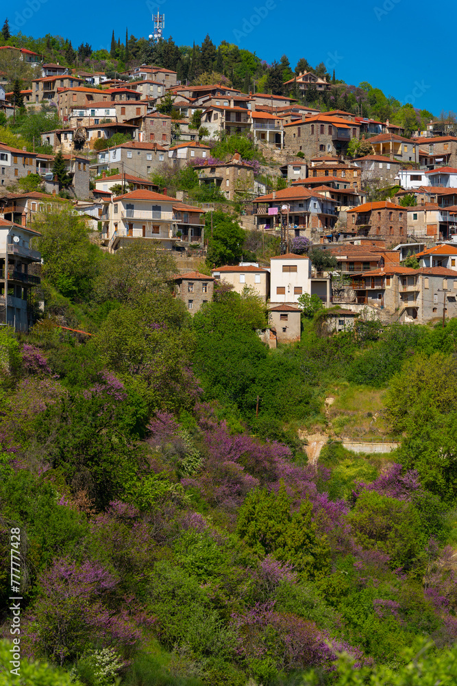 Spring scenery in the area of Kanalia in Greece, consisting of pink flowers and buildings.