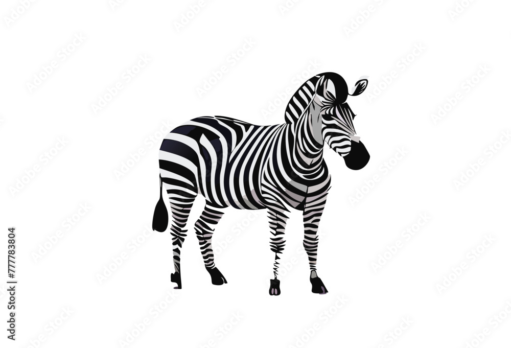 Fototapeta premium zebra