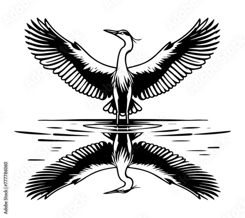 Elegant heron with widespread wings reflected over water in a black and white vector illustration