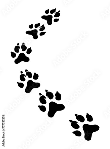 Trail of animal paw prints in ascending order suggesting movement or tracking